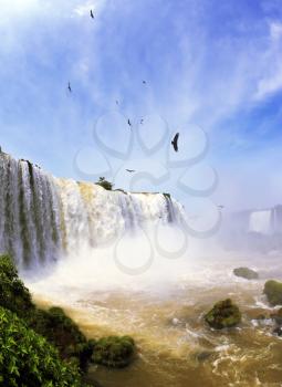  White whipped foam of water and a thin mist over the water.  Between a waterfall and a rainbow fly huge Andean condors. The most high-water waterfall in the world - Iguazu. The picture is taken by le