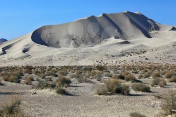 Huge sandy dune Eureka. California, USA