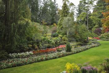 Picturesque  glade in well-known Butchard-garden on island Vancouver in Canada