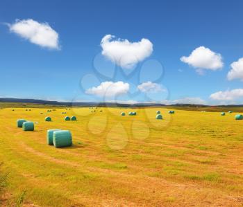  Rural field after harvest. Mown grass folded into a neat stack and packed in special bags of plastic