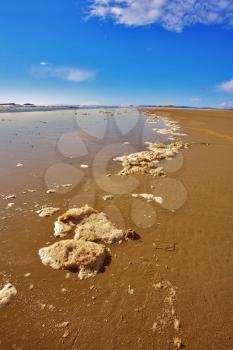 Wide sandy beach and the rests of sea foam on an edge of water 