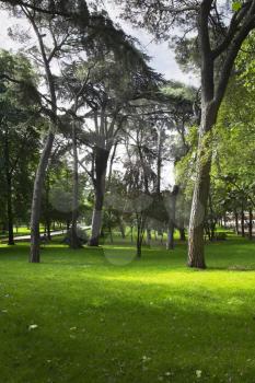 Madrid park Buen-Retiro in fine May day 