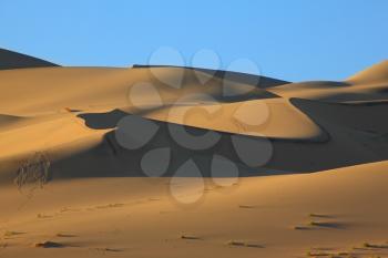 Cold  shades and traces of animals on sand of the White dune Eureka. Deadh Valley of the USA