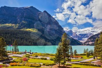 Banff National Park, Rocky Mountains, Canada. Flowers on the embankment of glacial Lake Louise.  Emerald Lake is surrounded by mountains, glaciers and pine forests

