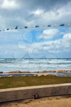 Cat hid from the strong sea wind. The famous promenade of Tel Aviv in stormy weather. The first day of January