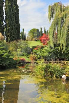 Gorgeous European park. Quiet picturesque pond surrounded by a bright colored shrubs and trees
