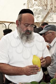 JERUSALEM, ISRAEL - SEPTEMBER 18, 2013: Religious man - Jew with black beard and black skullcap chooses ritual citrus - etrog