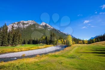Sunny autumn day in the Canadian Rockies. Dry creek in a mountain valley Banff park