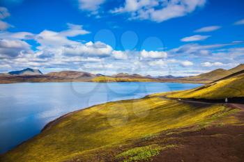   The magic of summer in Iceland. Cool blue water of the lake among the yellow tundra