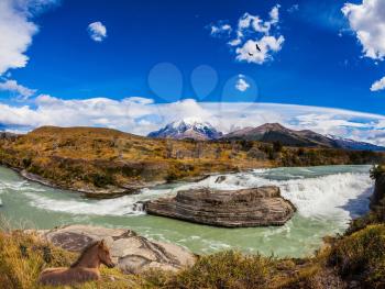 Chile, Paine Cascades. Cold water is emerald Paine river forms a cascading waterfalls. Torres del Paine National Park - Biosphere Reserve