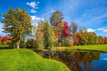  Red, orange and green autumn foliage is reflected to clear water of the lake. Park of fantastic beauty. Concept of Golf tourism. Golf Club, French Canada