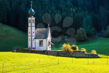  Tirol, Dolomites. The symbol of the valley Val di Funes - church of Santa Maddalena. Forested mountains surrounded by green Alpine meadows. Sunny warm autumn day