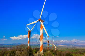 Israel. Flowering Golan Heights on a sunny day. Several huge modern windmills. Seen in the distance the snow-covered Hermon