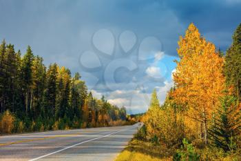 Highway in Banff National Park. Great orange and yellow autumn forest illuminated by the sunset. Canada, Alberta, Rocky Mountains
