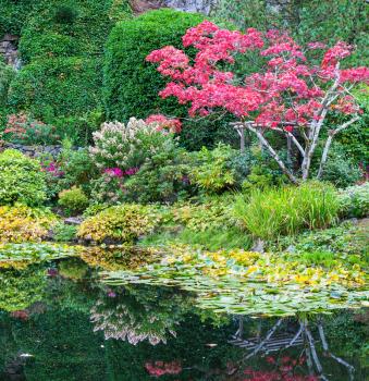 Amazing floral park Butchart Gardens on Vancouver Island. In a small pond, overgrown with lilies, reflected trees and flowers