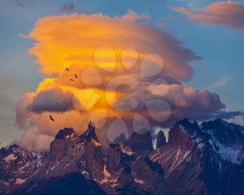  Sunset in the national park Torres del Paine, Chile. Sharp curved peaks  Los Quernos. Under the clouds flying flock of Andean condors