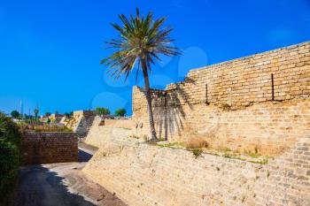 Deep protective moat around the ancient Caesarea, Israel. Lone palm tree growing on the rocks