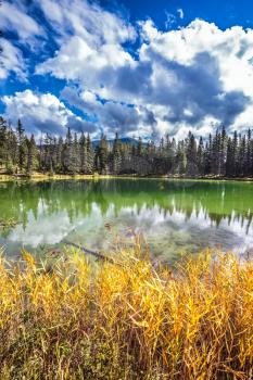  Warm autumn day in Jasper National Park in the Canada. Coniferous forest is reflected in the mirrored water of lake