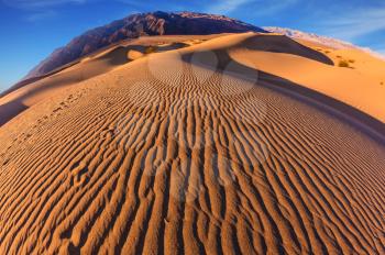 Desert in Mesquite Flat, Death Valley, USA. Waves of orange sand on top of the dunes. Sunrise. The photo was taken Fisheye lens