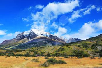 Snow-capped mountains and rocks Torres del Paine. Yellowed autumn field, Patagonia. National Park Torres del Paine