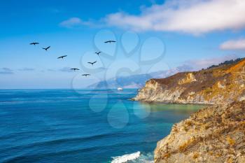 California State Route 1, USA. In the sky flies a flock of cranes. The scenic road passes over ocean bay with emerald water 
