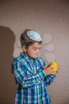 Beautiful seven year old boy in white jewish knitted skullcap is holding etrog.  Etrog  - a ritual fruit for the holiday of Sukkot 