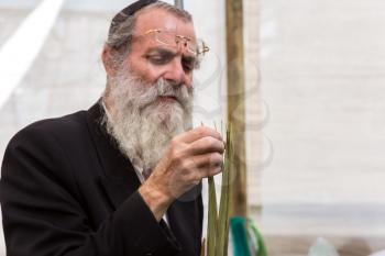 JERUSALEM, ISRAEL - OKTOBER 16, 2016: Elderly ortodox Jew with grey beard in black skullcap is checking ritual plant palm tree. Traditional market before the holiday of Sukkot