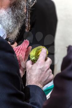 Sale of ritual plants on the traditional pre-holiday market in the capital of Israel, Jerusalem. Ancient Jewish holiday Sukkot. The buyer with the gray side curls and berds chooses the citrus