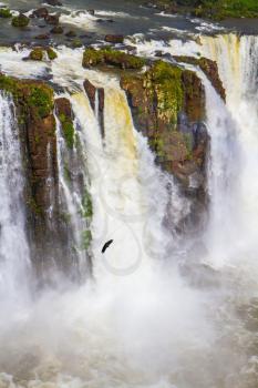 Complex of waterfalls Iguazu on the border of three countries. The most full-flowing waterfalls Iguazu. Andean condors fly in the water dust. Concept of active and extreme tourism