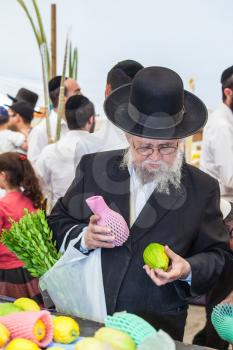 JERUSALEM, ISRAEL - OKTOBER 8, 2014: Traditional market before the holiday of Sukkot. Orthodox Jew with a white beard in a black hat chooses citrus 