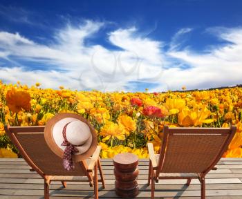 Pair of wooden sun loungers next to fields of garden buttercups. The concept of recreation and eco-tourism. Elegant women's straw hat hanging on a chair
