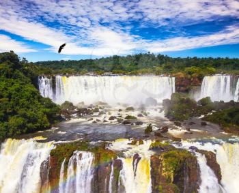  Grandiose waterfalls Iguazu in South America, on the border of three countries: Brazil, Argentina and Paraguay. Andean condors fly in the water dust. Concept of active and extreme tourism