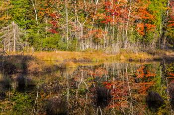 Multicolored foliage of autumn forests is reflected in ponds. The water in the pond is smooth like a mirror. Concept of ecological and automobile tourism