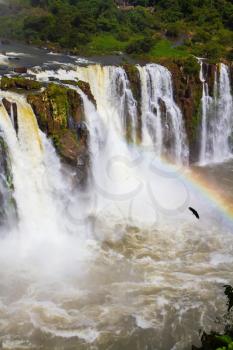 In the water dust and rainbow, Andean condors fly. The most full-flowing waterfalls Iguazu. Complex of waterfalls Iguazu on the border of three countries. Concept of active and extreme tourism
