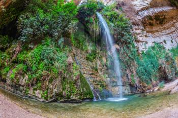 Ein Gedi - Nature Reserve and National Park, Israel. Great Falls Shulamit falls into a shallow pond with emerald water