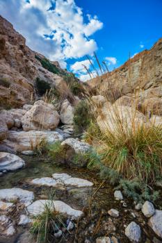 Typical landscape of the Middle East. The stream flows through the beautiful gorge Ein Gedi, Israel
