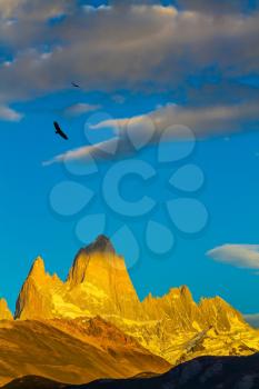 Fiery sunset illuminates the majestic rock Fitz Roy. Thd stunning Patagonia