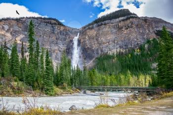  Autumn waterfall forms full-flowing water flow of pearl color. Rocky Mountains of Canada. Yoho National Park