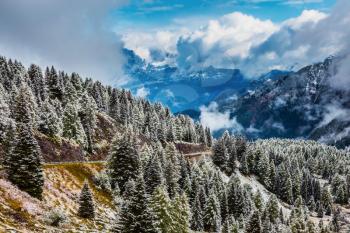 The magnificent landscape of the Dolomites in the snow. Evergreen forests in the valley covered with the first snow. Cumulus clouds flying over mountains
