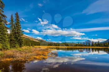 Swamp in the valley of the Rocky Mountains. Clouds are reflected in smooth water. Autumn in Canada. The concept of ecotourism
