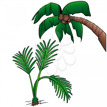 Royalty Free Clipart Image of a Palm Tree and Fronds