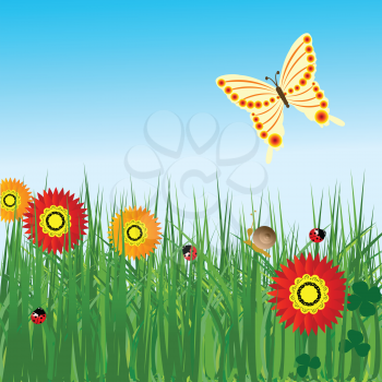 Spring background with flowers and butterfly