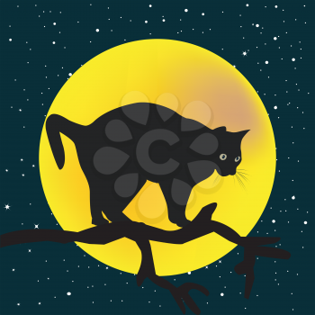 Tree branch with a cat in the stary night and moon background