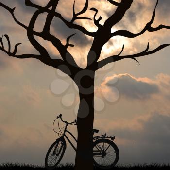 Landscape with a bicycle supported by a tree