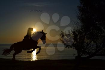 Silhouette of a young girl on horseback rears on the background of a beach at sunset time