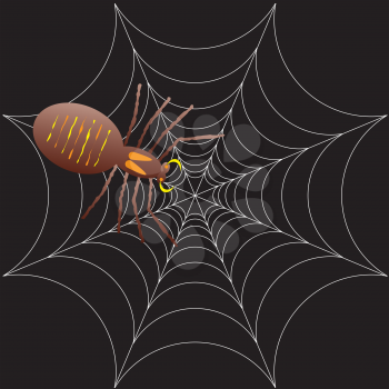 Royalty Free Clipart Image of a Spider