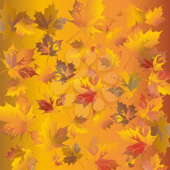Royalty Free Clipart Image of a Falling Leaves Background
