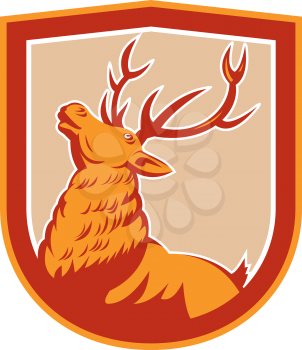 Illustration of a stag deer buck head looking up set inside shield crest on isolated background done in retro style.