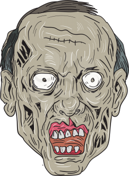 Drawing sketch style illustration of a zombie skull head viewed from front set on isolated white background. 