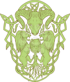 Illustration of stylized bighorn sheep head with two lion supporters climbing on tree with Celtic knot, called Icovellavna, plait work or knotwork woven into unbroken cord design set on isolated white